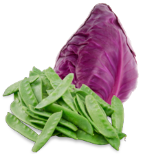 Peulen
zak à 250 gram,
Paarse spitskool
of Chinese kool